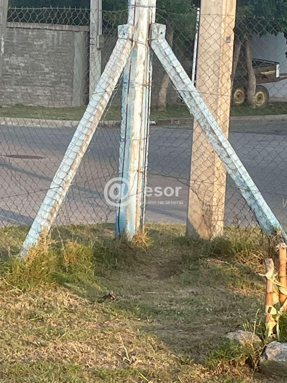 Image6